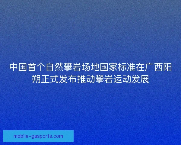 中国首个自然攀岩场地国家标准在广西阳朔正式发布推动攀岩运动发展